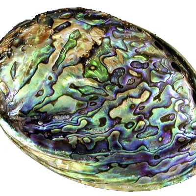 По зодия